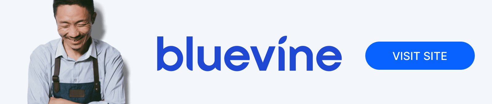 bluevine line of credit review