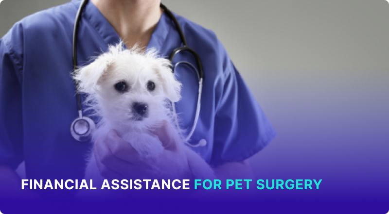 Financial Assistance for Pet Surgery