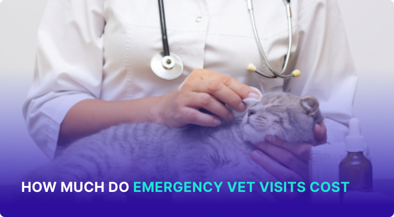 How Much Do Emergency Vet Visits Cost