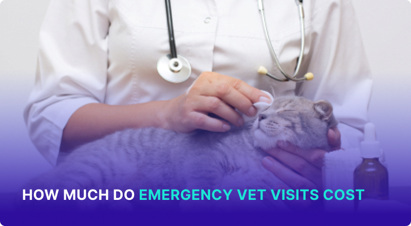 Cost Of Pet Emergency Room Visit