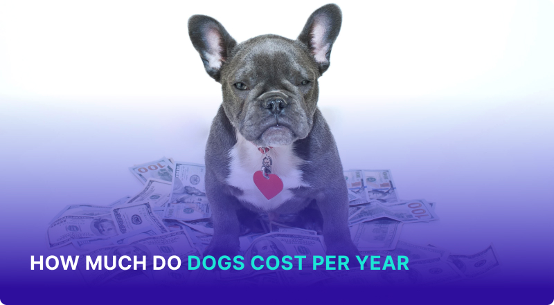 Cost of a dog best sale per month