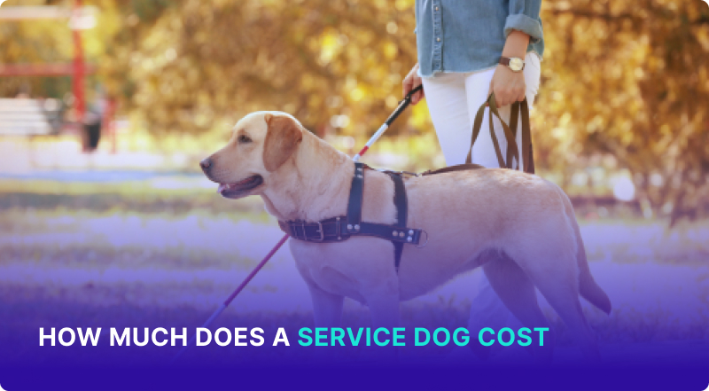 How Much Does a Service Dog Cost