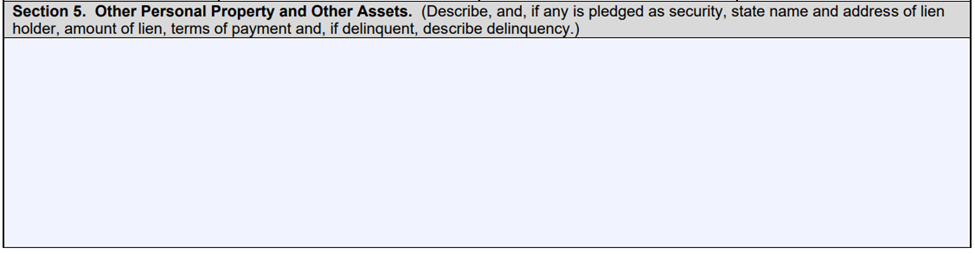 SBA Form 413 Section 5