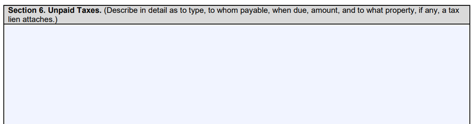 SBA Form 413 Section 6