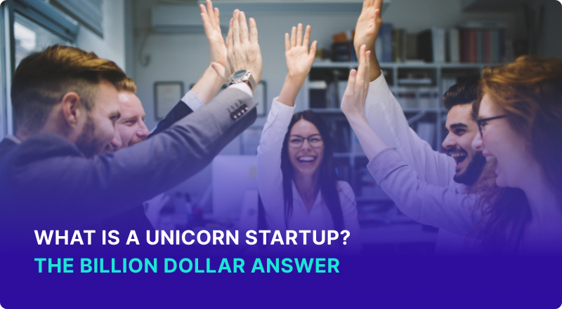 What is a Unicorn Startup The Billion Dollar Answer