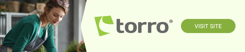 Torro Startup Loans