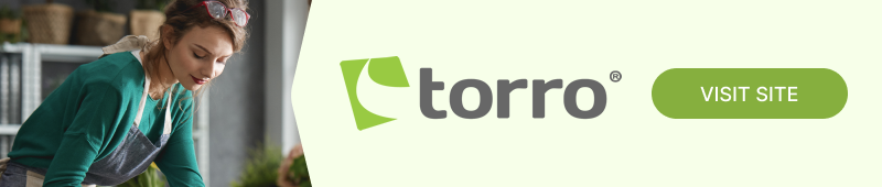 Torro Loans